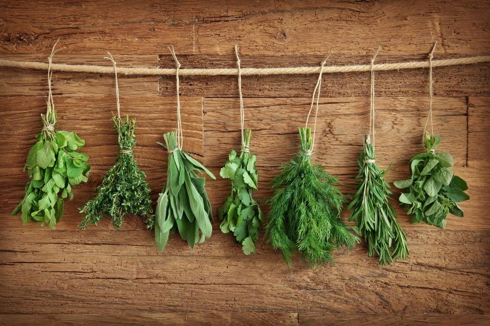 Avoid These Beginner Herb Garden Mistakes - Ritchie Feed & Seed Inc.